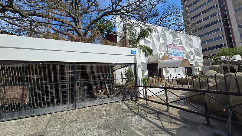 alebrije-discoteca-acapulco 